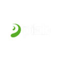 Piab - Vacuum Conveying logo