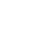 Webinar logo