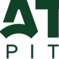 Livestorm webinar logo